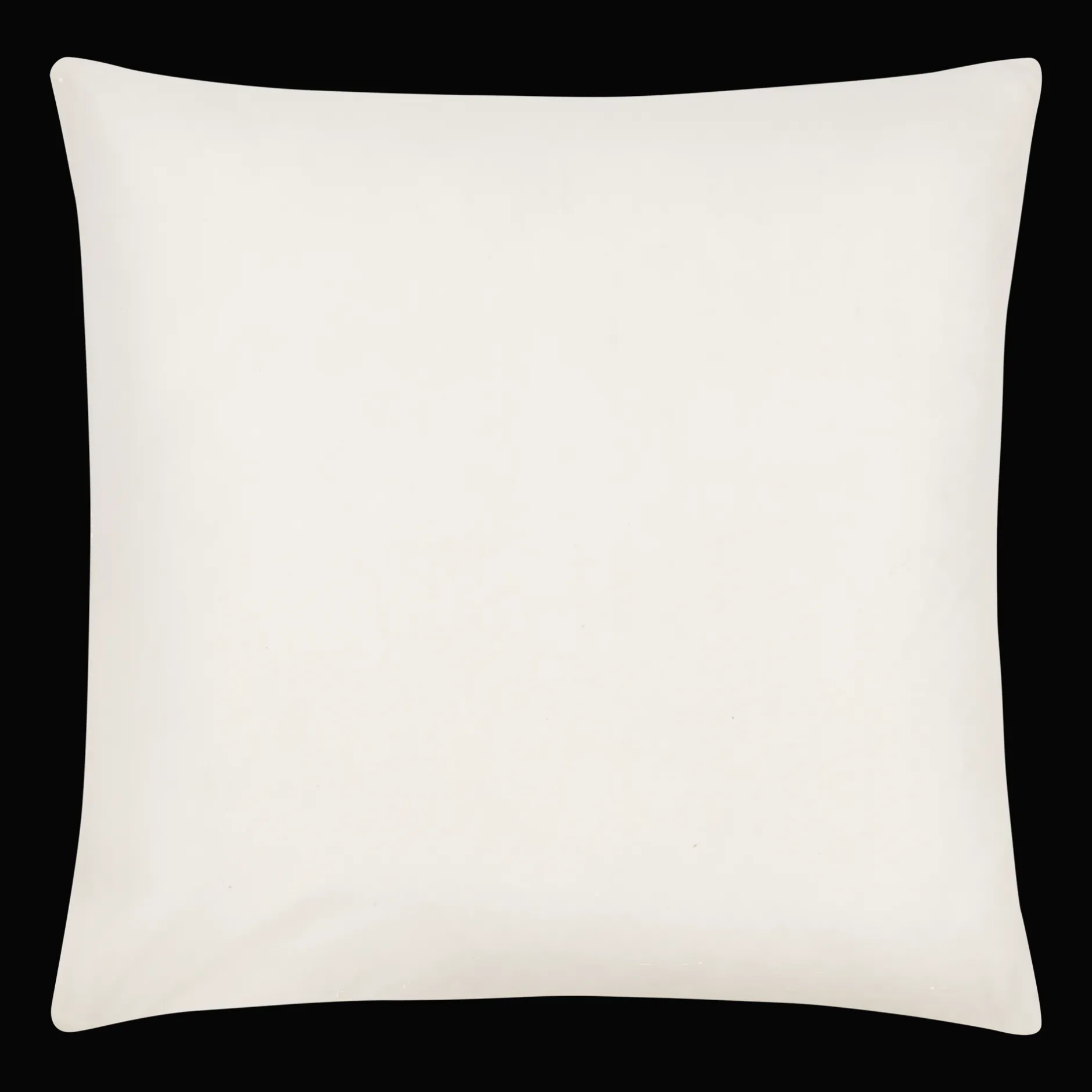 Hot Ann Decorative Pillow Decorative Throw Pillows