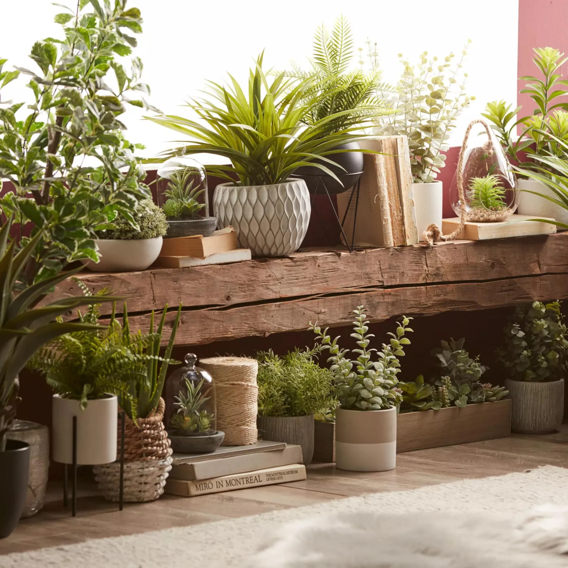 Apple Succulent in Two-Toned Ceramic Pot Artificial Plants