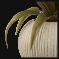 Clearance Artificial Agave Plant in Ribbed Pot Artificial Plants