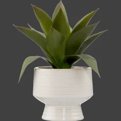 Artificial Aloe in Ceramic Pot Artificial Plants