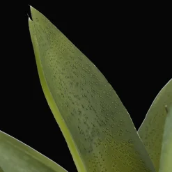 Sale Artificial Cast-Iron Plant in White Speckled Pot Artificial Plants