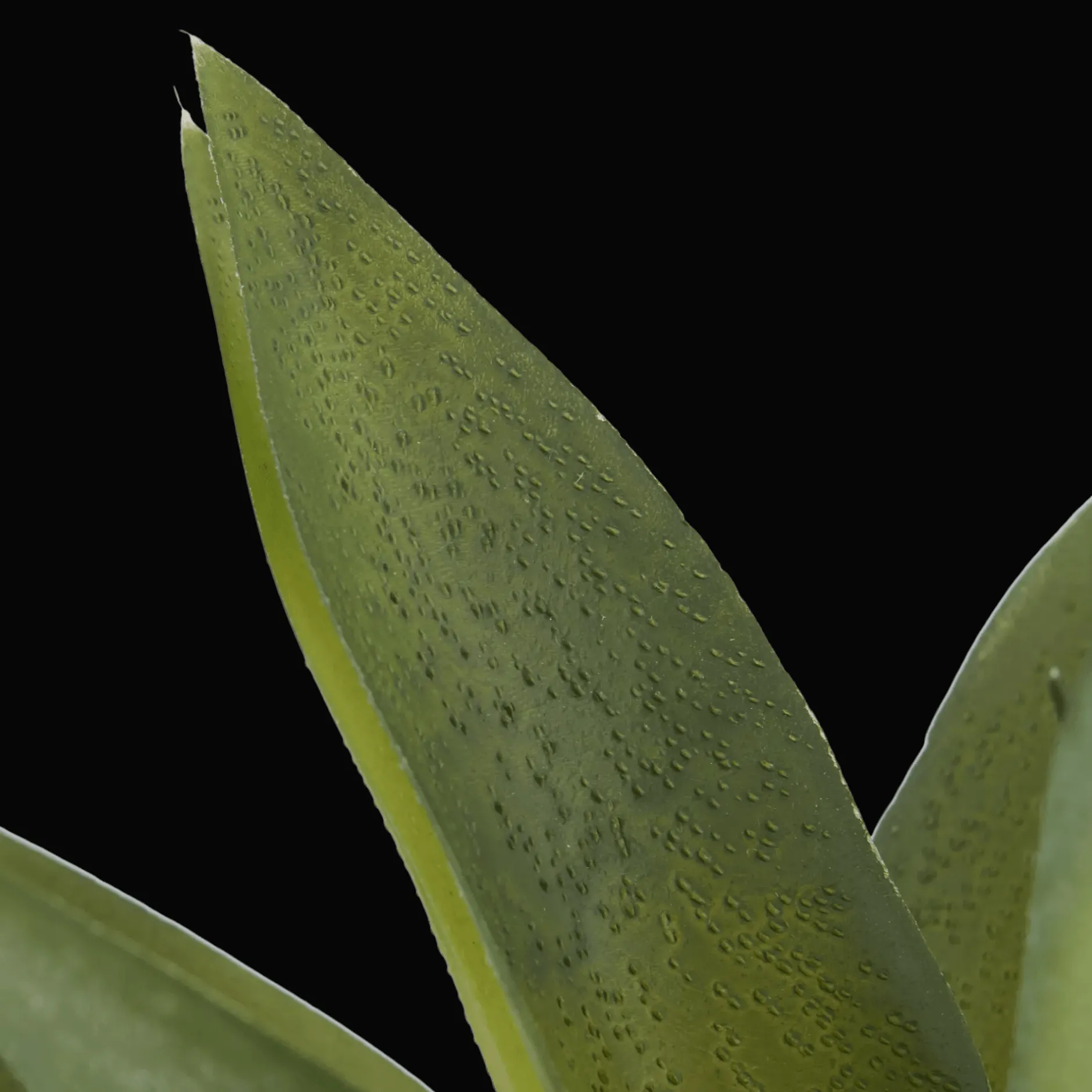 Sale Artificial Cast-Iron Plant in White Speckled Pot Artificial Plants