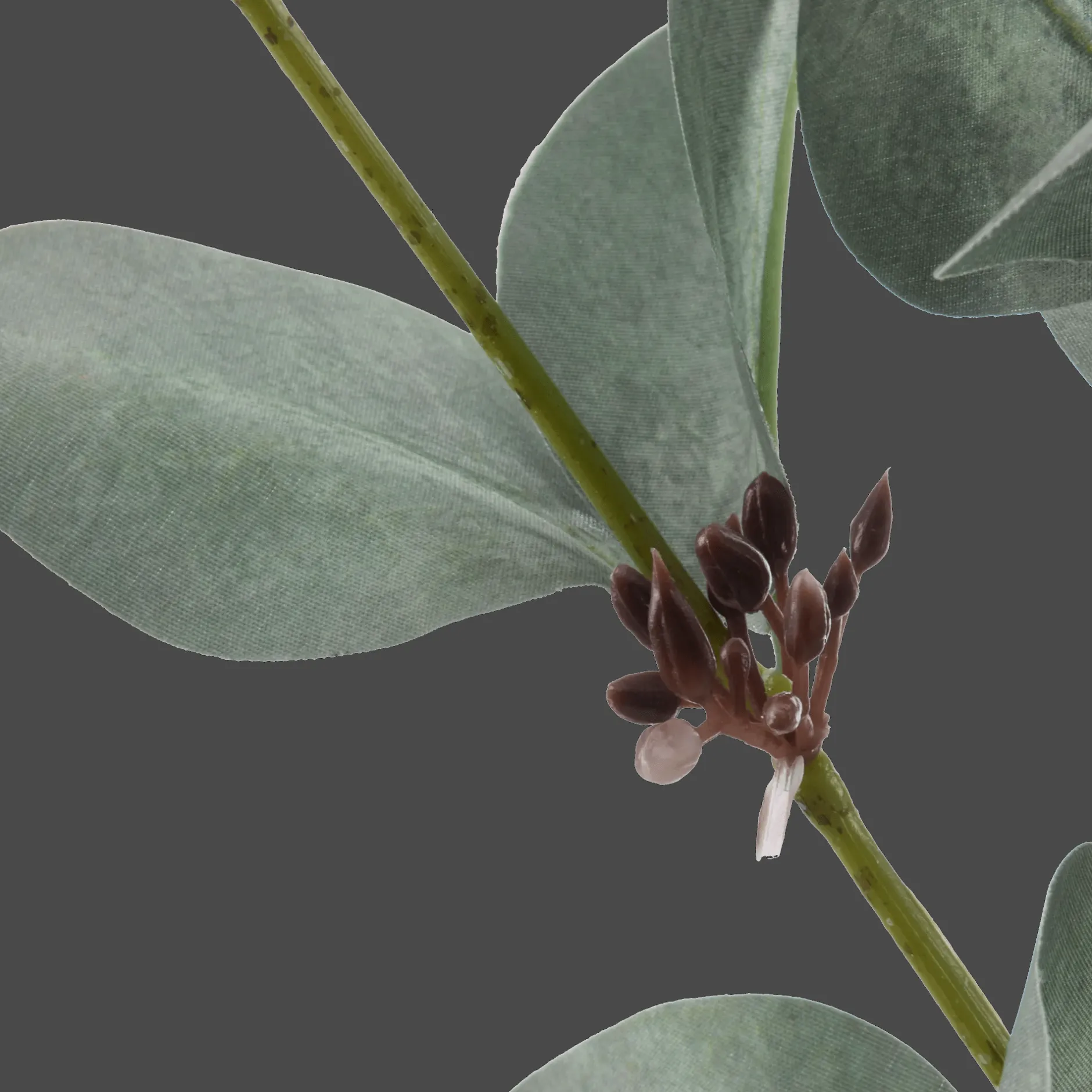 Best Artificial Eucalyptus Stem Branches|Artificial Flowers