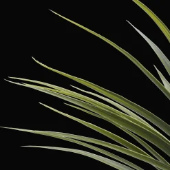 Sale Artificial Exotic Floor Plant in White Pot Branches|Artificial Flowers