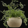 Discount Artificial Fern Artificial Plants