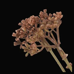 Discount Artificial Hemlock Flower Stem Branches|Artificial Flowers