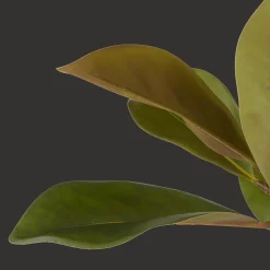 Outlet Artificial Magnolia Tree Branches|Artificial Flowers