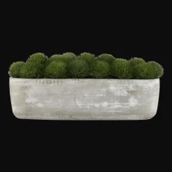 Clearance Artificial Moss in Cement Pot Artificial Plants