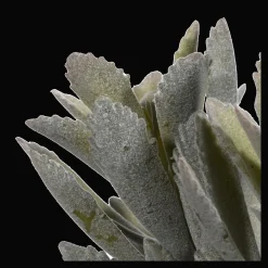 Artificial Panda Plant in Ceramic Pot Artificial Plants