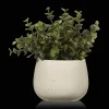 Hot Artificial Plant in Beige Speckled Pot Artificial Plants