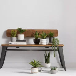 Hot Artificial Plant in Black Matte Ceramic Pot Artificial Plants