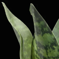 Hot Artificial Plant in Black Matte Ceramic Pot Artificial Plants