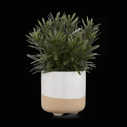 Online Artificial Plant in Ceramic Pot Artificial Plants