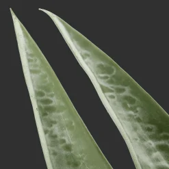 Online Artificial Plant in Ceramic Pot Artificial Plants