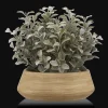 New Artificial Plant in Ceramic Pot Artificial Plants
