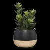 Online Artificial Plant in Colour-Block Pot Artificial Plants