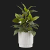 Sale Artificial Plant in Striped Pot Artificial Plants