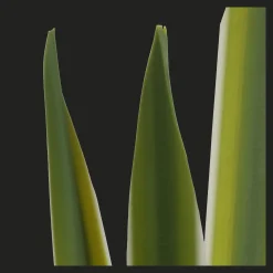 Clearance Artificial Yucca Leaf in Ceramic Pot Artificial Plants