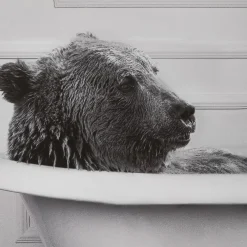 Online Bear in Bathtub Printed Framed Canvas Printed & Photography Wall Art Canvases