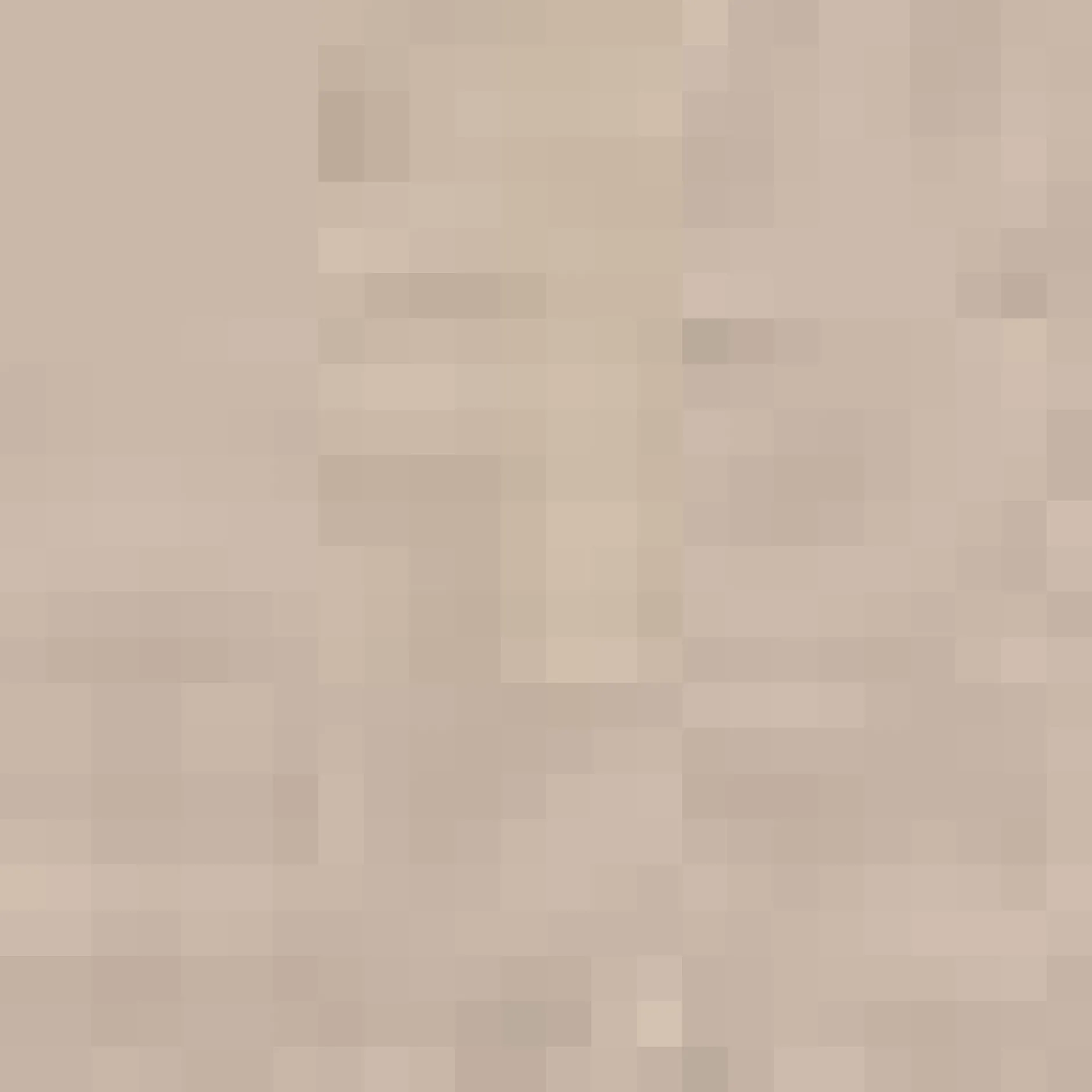 New Beige Waverly Decorative Pillow Decorative Throw Pillows