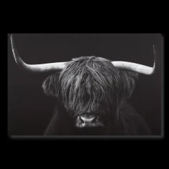 Outlet Black & White Highland Cow Printed Canvas Printed & Photography Wall Art Canvases