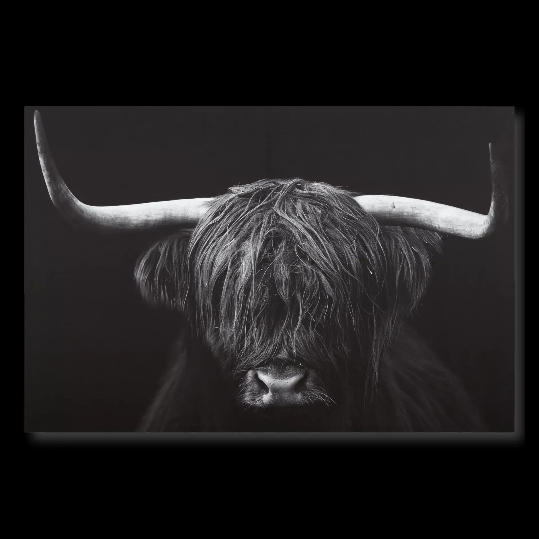 Outlet Black & White Highland Cow Printed Canvas Printed & Photography Wall Art Canvases