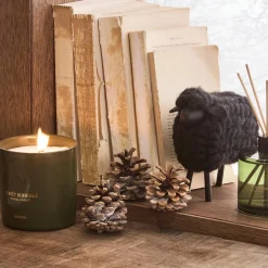 Discount Boreal Forest Diffuser Candles & Candle Stick Holders