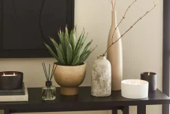 Outlet Green Tea Candle with Wooden Lid Candles & Candle Stick Holders