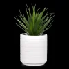 Discount Ceramic Potted Tropical Plant Artificial Plants