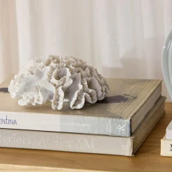 Discount Decorative Coral Home Decorative Items & Objects