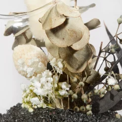 Outlet Decorative Stems in Glass Dome Home Decorative Items & Objects