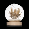 Discount Dried Flowers Glass Dome Home Decorative Items & Objects
