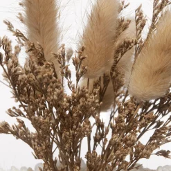 Discount Dried Flowers Glass Dome Home Decorative Items & Objects