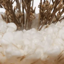 Discount Dried Flowers Glass Dome Home Decorative Items & Objects