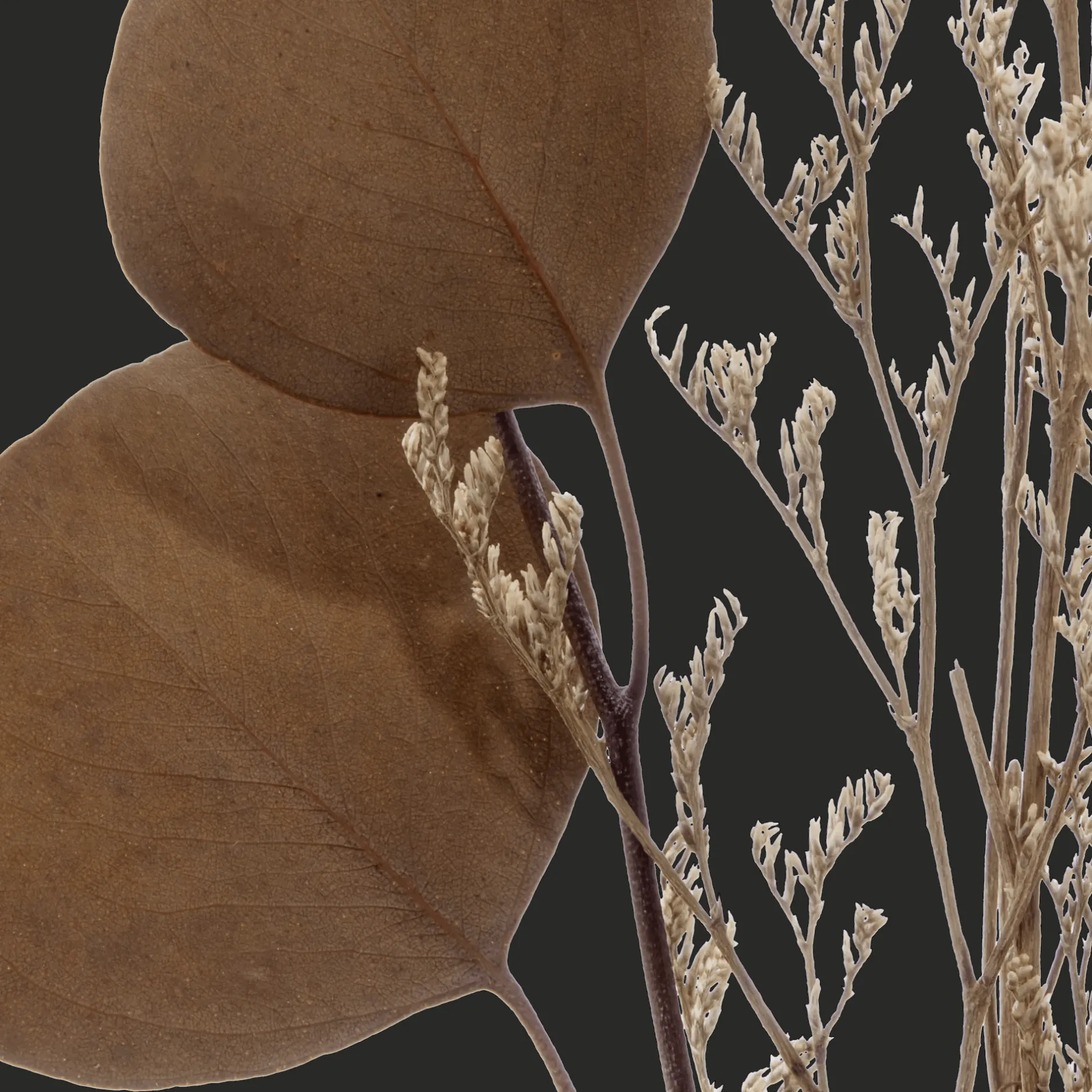 Hot Dried Stem in a Vase Artificial Plants