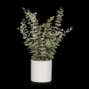 Sale Eucalyptus in Ceramic Pot Artificial Plants