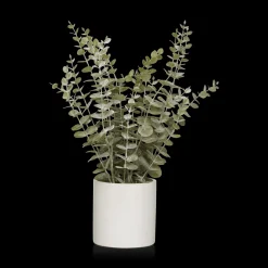 Sale Eucalyptus in Ceramic Pot Artificial Plants