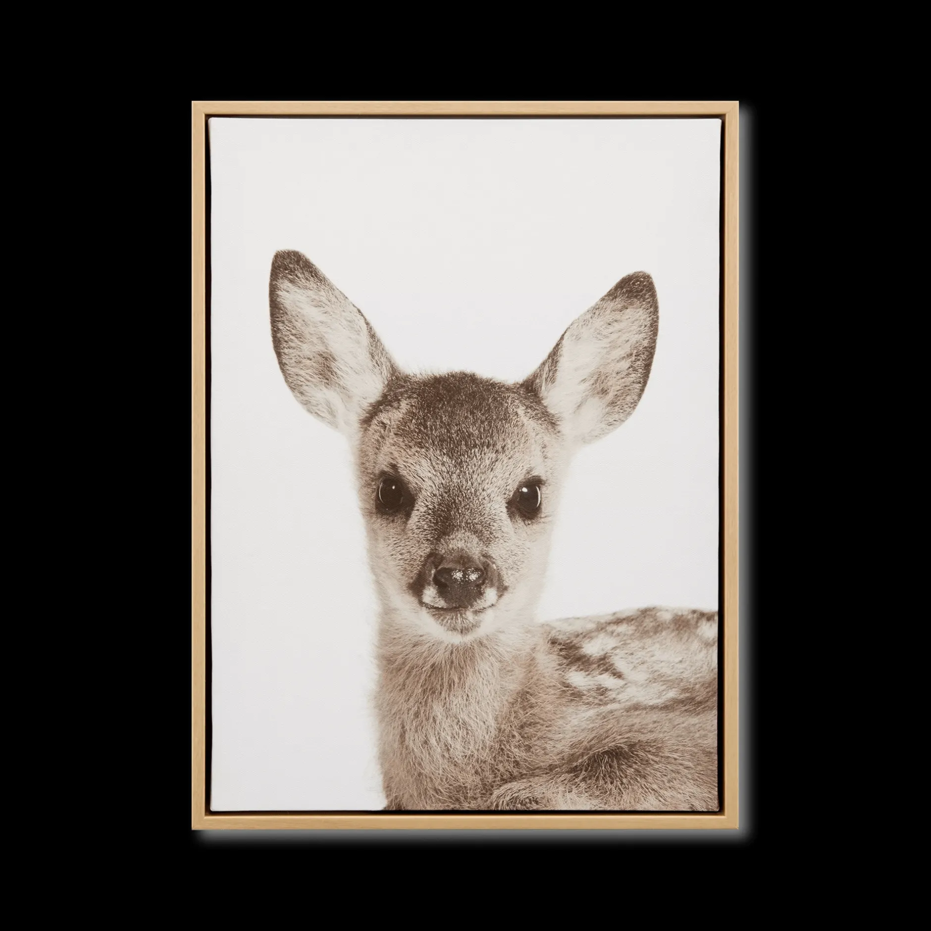 Fawn Framed Art Printed & Photography Wall Art Canvases