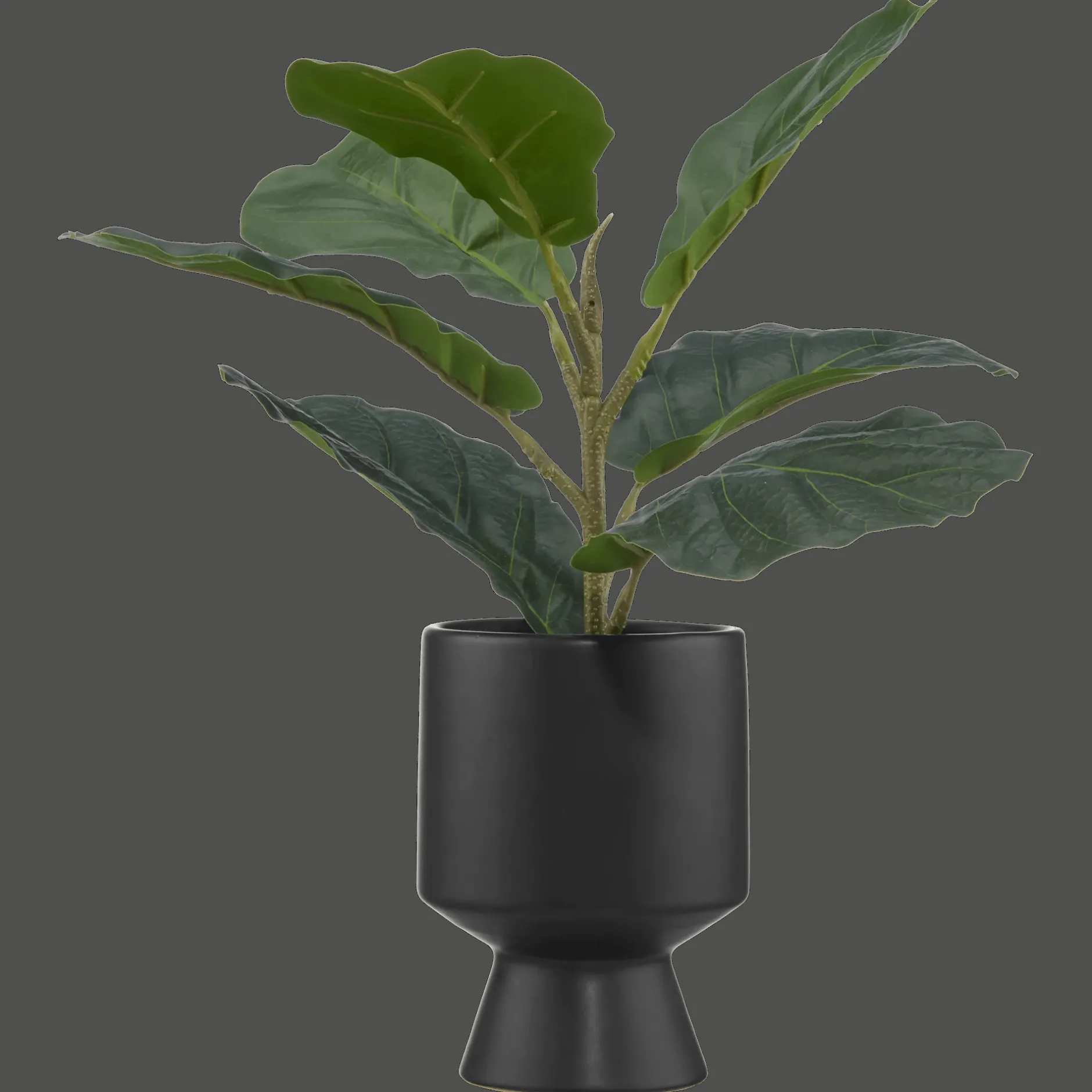 Ficus in black ceramic pot Artificial Plants