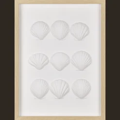 Best Framed Art 3D Shells Bathroom Wall Decor