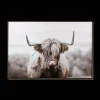 New Furry Highland Cow Framed Art Printed & Photography Wall Art Canvases