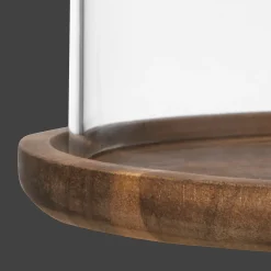 Best Glass Dome with Wood Base Home Decorative Items & Objects