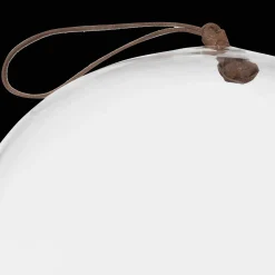 Best Glass Dome with Wood Base Home Decorative Items & Objects