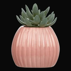 Online Greenery in Pink Ribbed Vase Junior Decorative Accessories