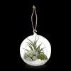 New Hanging Terrarium with Artificial Succulent Artificial Plants