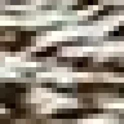 Sale Hedgehog Canvas Framed Art Christmas Decorative Objects