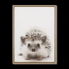 Hedgehog Framed Canvas Printed & Photography Wall Art Canvases