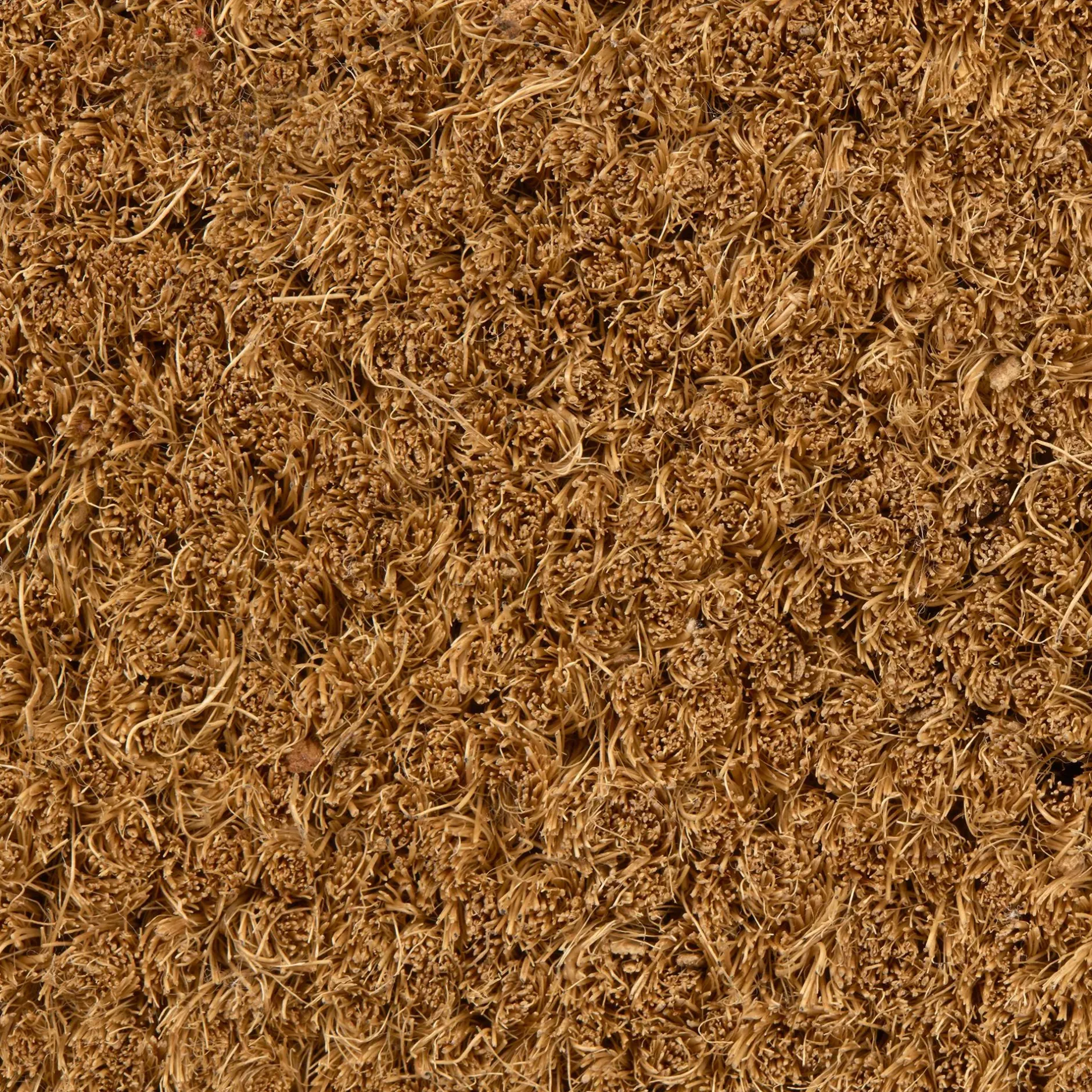 Outlet Home Sweet Home Doormat Rugs