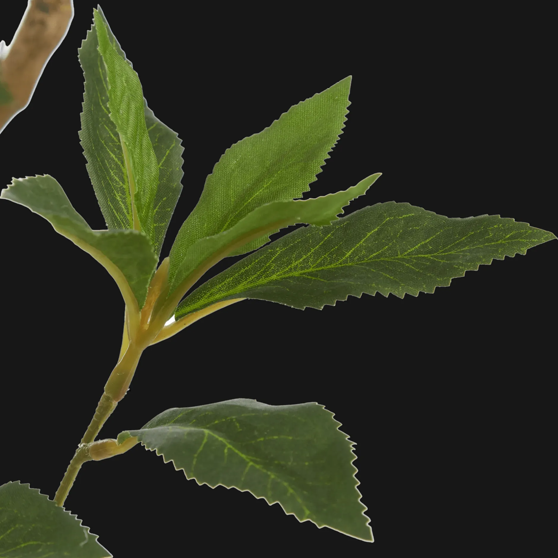 Clearance Japanese Pieris Tree Branches|Artificial Flowers