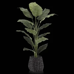 Best Large Ficus in Black Rattan Pot Branches|Artificial Flowers